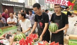 北京朝阳吃瓜,瓜界风云录，美食地图大揭秘